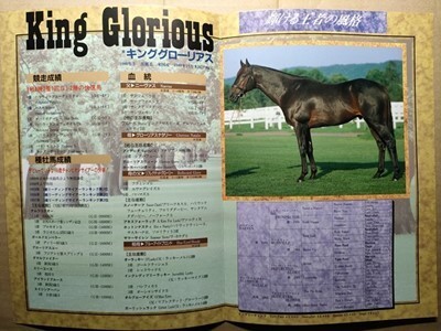 競馬 種牡馬パンフ キンググローリアス King Glorious JBBA [父Naevus / ナムラコクオー ボールドエンペラー ワンダースピードの父拍卖