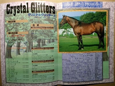 競馬 種牡馬パンフ クリスタルグリッターズ Crystal Glitters JBBA [父Blushing Groom / アブクマポーロ マチカネフクキタルの父拍卖
