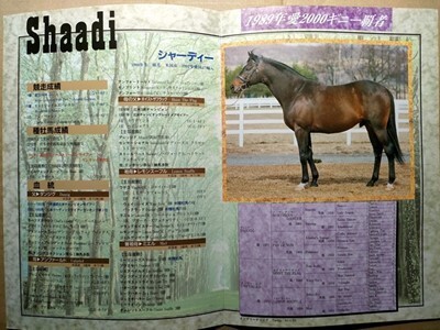 競馬 種牡馬パンフ シャーディー Shaadi JBBA [父Danzig / ゴールドヘッド チェックメイト タカラシャーディーの父拍卖