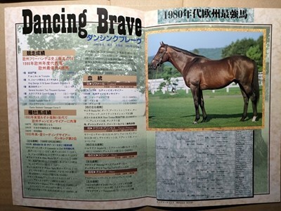 競馬 種牡馬パンフ ダンシングブレーヴ Dancing Brave JBBA [父Lyphard / キングヘイローの父 スイープトウショウの母父拍卖