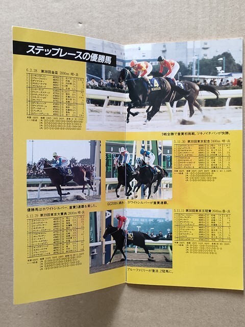競馬 TCK 冊子 帝王賞 1994 [ツキノイチバン ホワイトシルバー ブルーファミリー フェートノーザン オサイチブレベスト ハシルショウグン他拍卖
