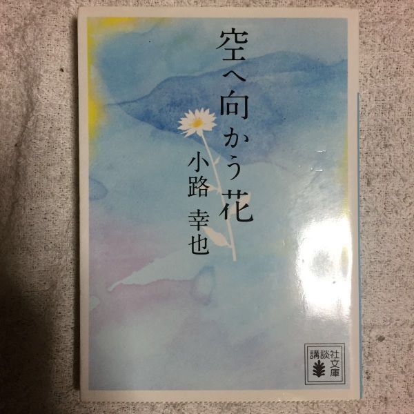 空へ向かう花 (講談社文庫) 小路 幸也 9784062770347拍卖