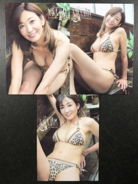 中島 史恵 HIT'S Vol.2 RG37・40・43 3枚セット セカンド 水着 グラビア アイドル トレカ トレーディングカード拍卖