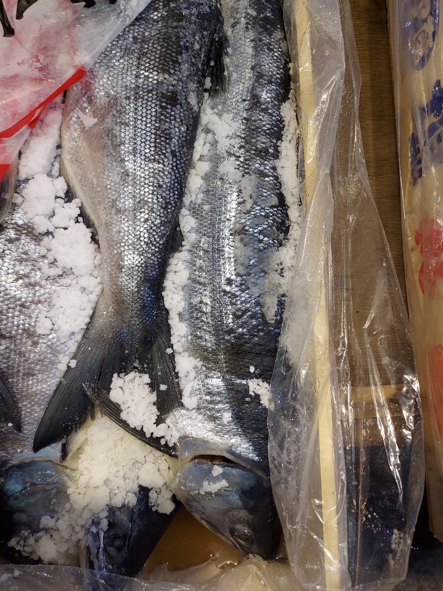 北洋紅鮭60cm2.2k位1本9980円即決拍卖