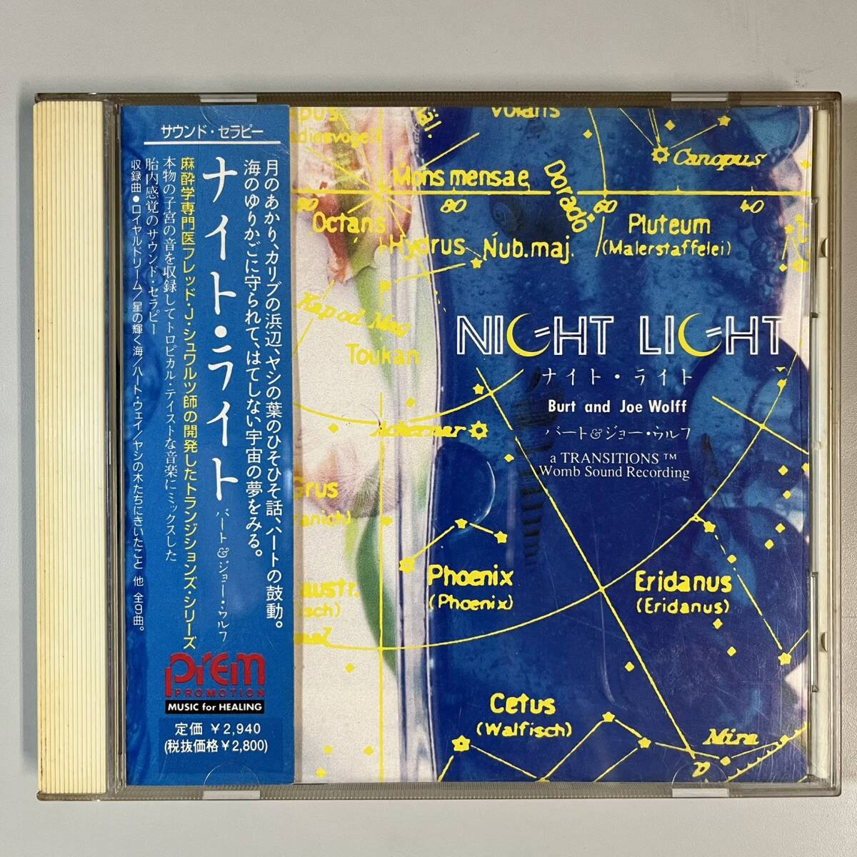 C2074 BURT & JOE WOLFF / NIGHT LIGHT 拍卖