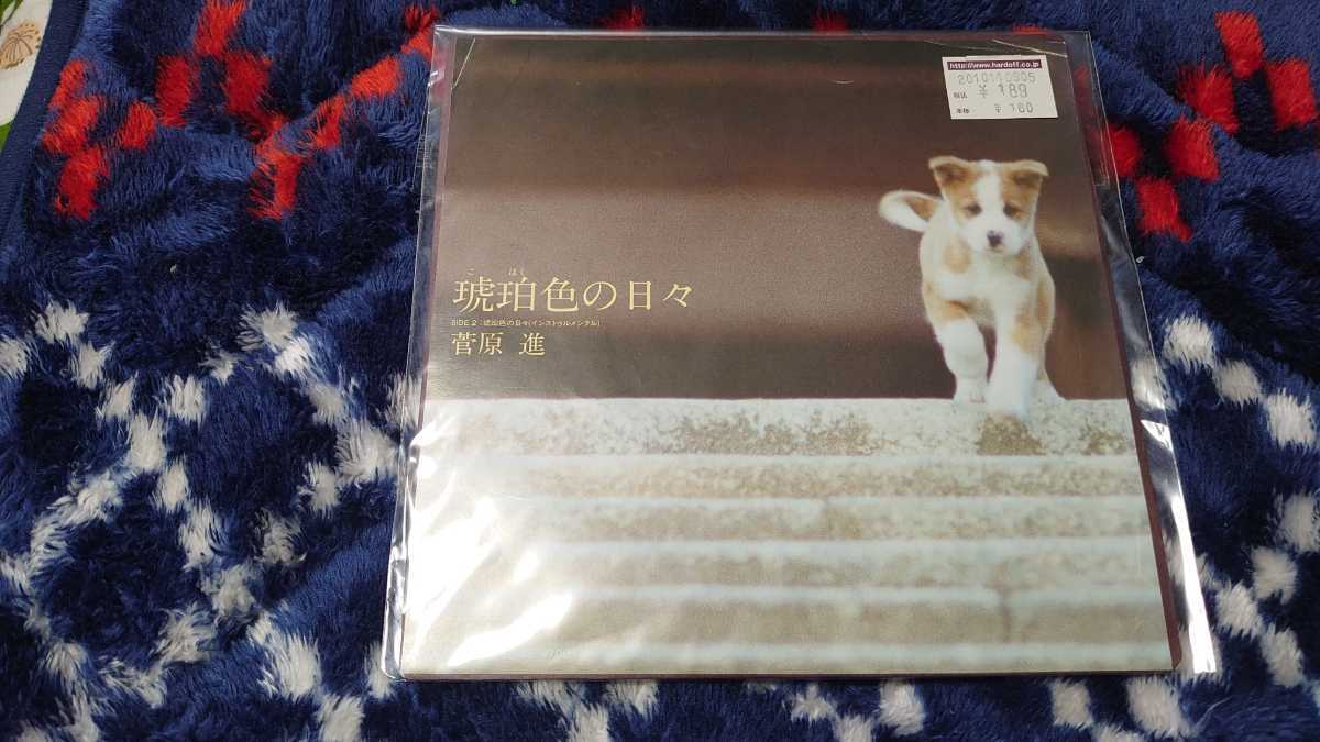 【音源未チェック】菅原進 琥珀色の日々 EP盤レコード拍卖