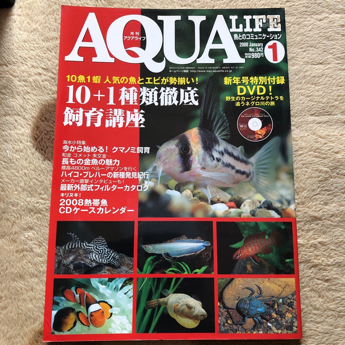 古本/AQUA LIFE/342拍卖