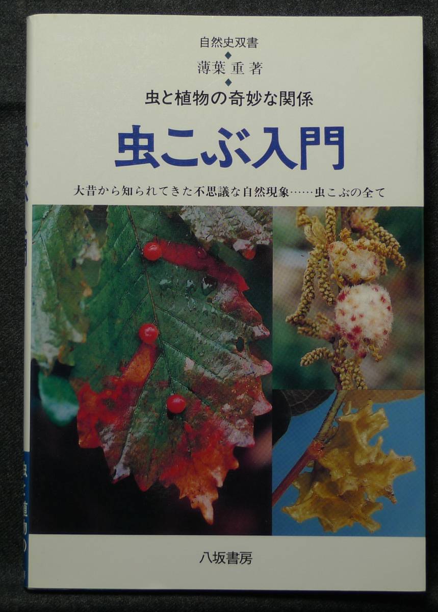 【超希少】【初版、美品】古本 虫こぶ入門 虫と植物の奇妙な関係 大昔から知られてきた不思議な自然現象 薄葉重 八坂書房拍卖