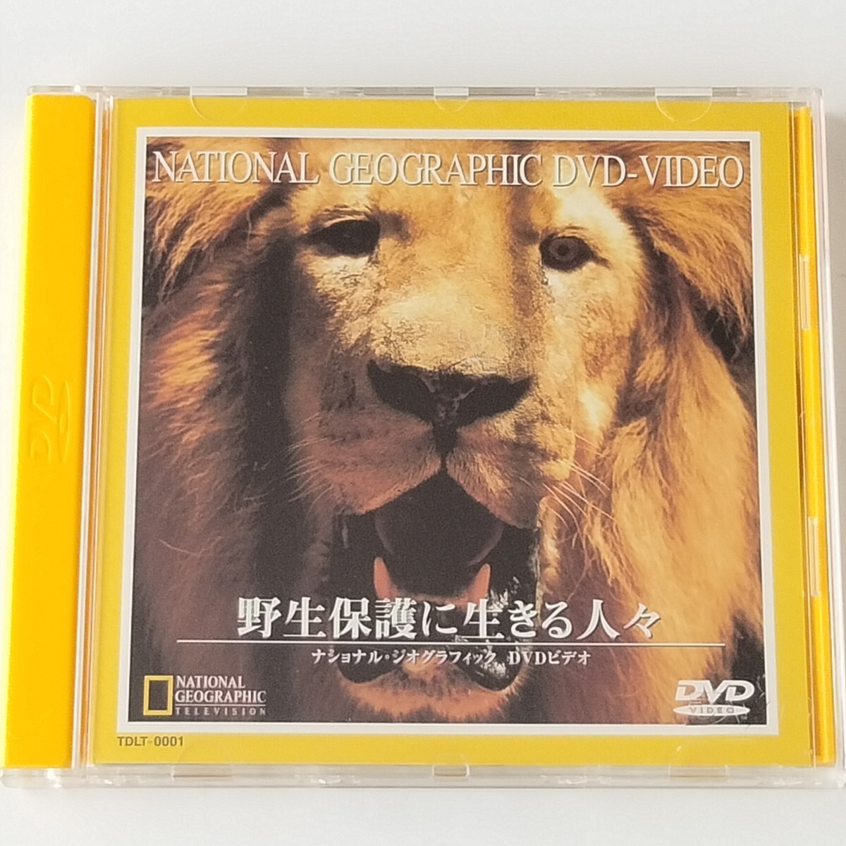 【二カ国語版/DVD】野生保護に生きる人(TDLT-0001)ナショナル・ジオグラフィック DVD ビデオ/NATIONAL GEOGRAPHIC/ライオン/ゾウ/コウモリ拍卖