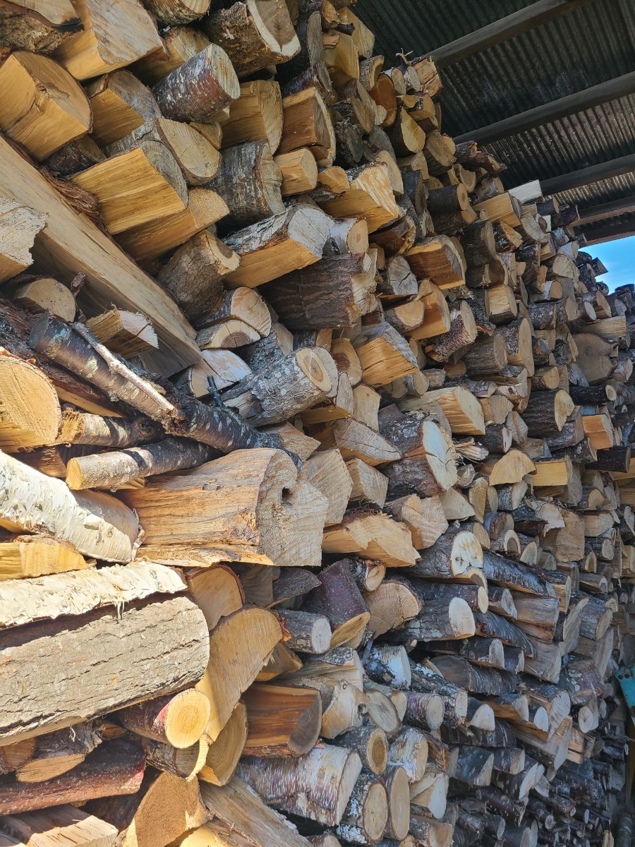 薪★北海道★自然乾燥薪10kg★自然乾燥★焚き火★キャンプ★キャンプファイヤー拍卖