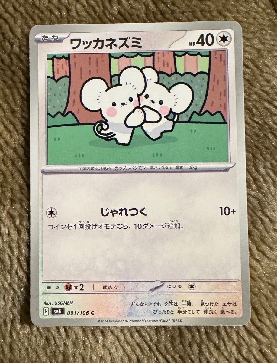 ポケモンカード ワッカネズミ C(sv8 091/106)たね じゃれつく 超電ブレイカー 1枚(在庫3枚)拍卖