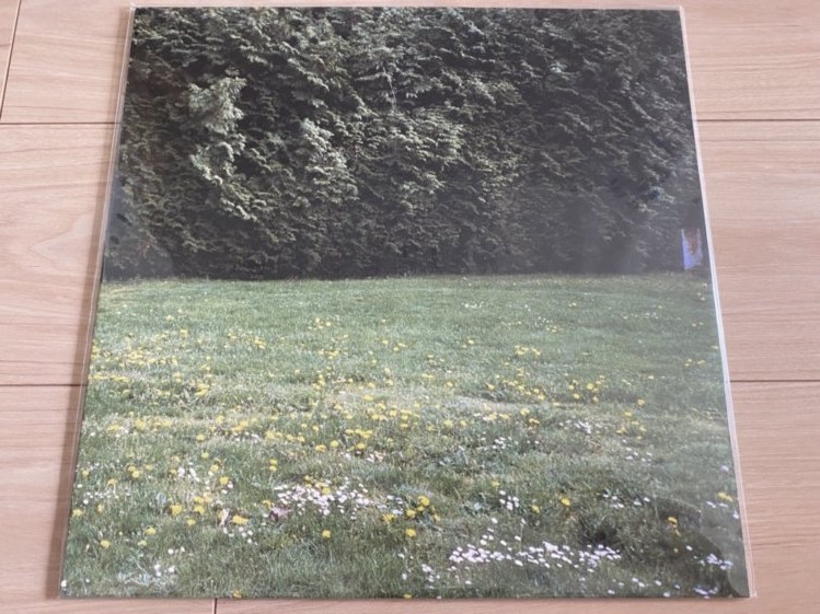 mitsume ミツメ アナログ盤 LP「Ghosts」拍卖