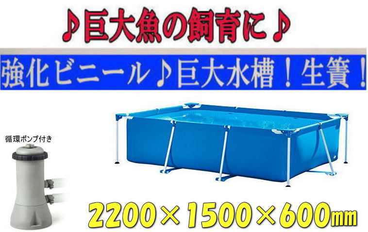 【新品!即決♪ポンプ付き♪】◇★中型水槽♪生簀♪220×150×60cm♪巨大魚!金魚♪魚飼育♪繁殖に♪★◇ 拍卖
