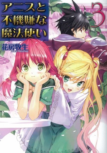 アニスと不機嫌な魔法使い3 (HJ文庫)拍卖