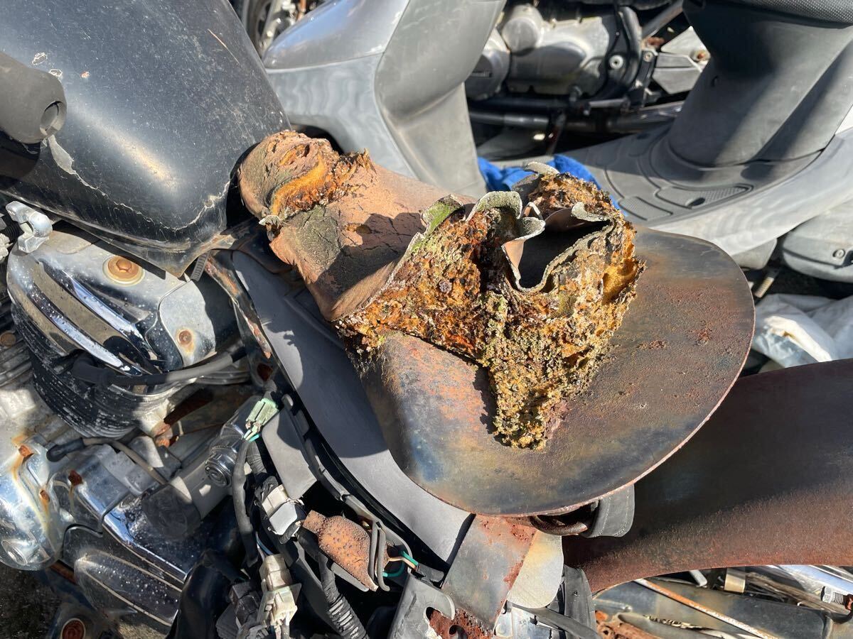 サビがイイ味出してます! スティード400 nc26 カスタムシート ベース スプリング拍卖