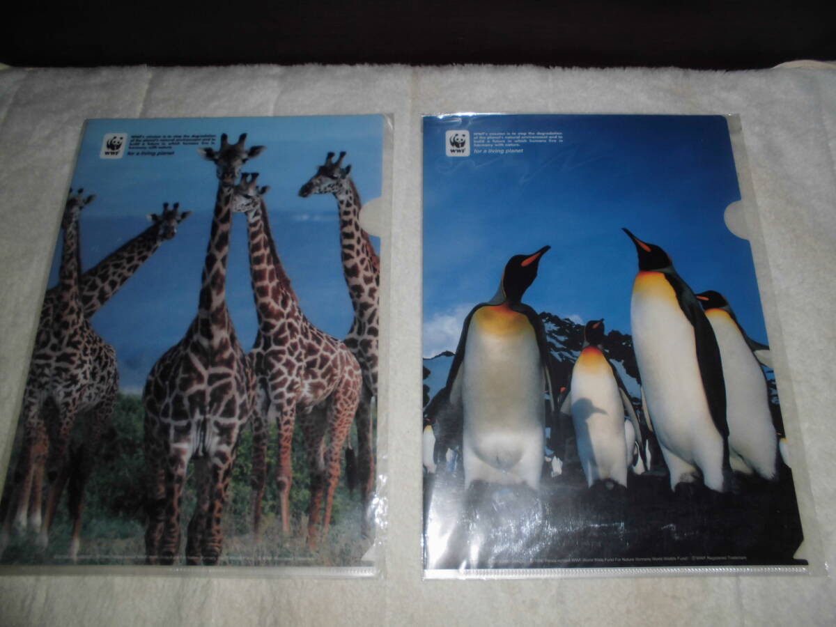 ああ058 WWF キリン&オウサマペンギン A4クリアファイル拍卖