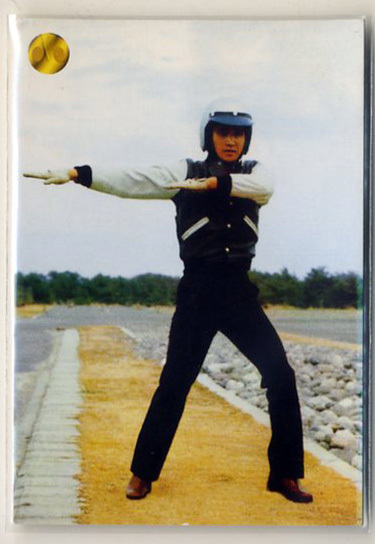 ◆防水対策 厚紙補強 カルビー 仮面ライダーV3チップスカード(2004 復刻版) D12 これが変身ポーズだ トレカ 即決拍卖