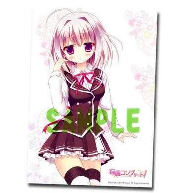 神撫みあ B2 タペストリー 妄想コンプリート! C86 コミケ イベント限定品拍卖