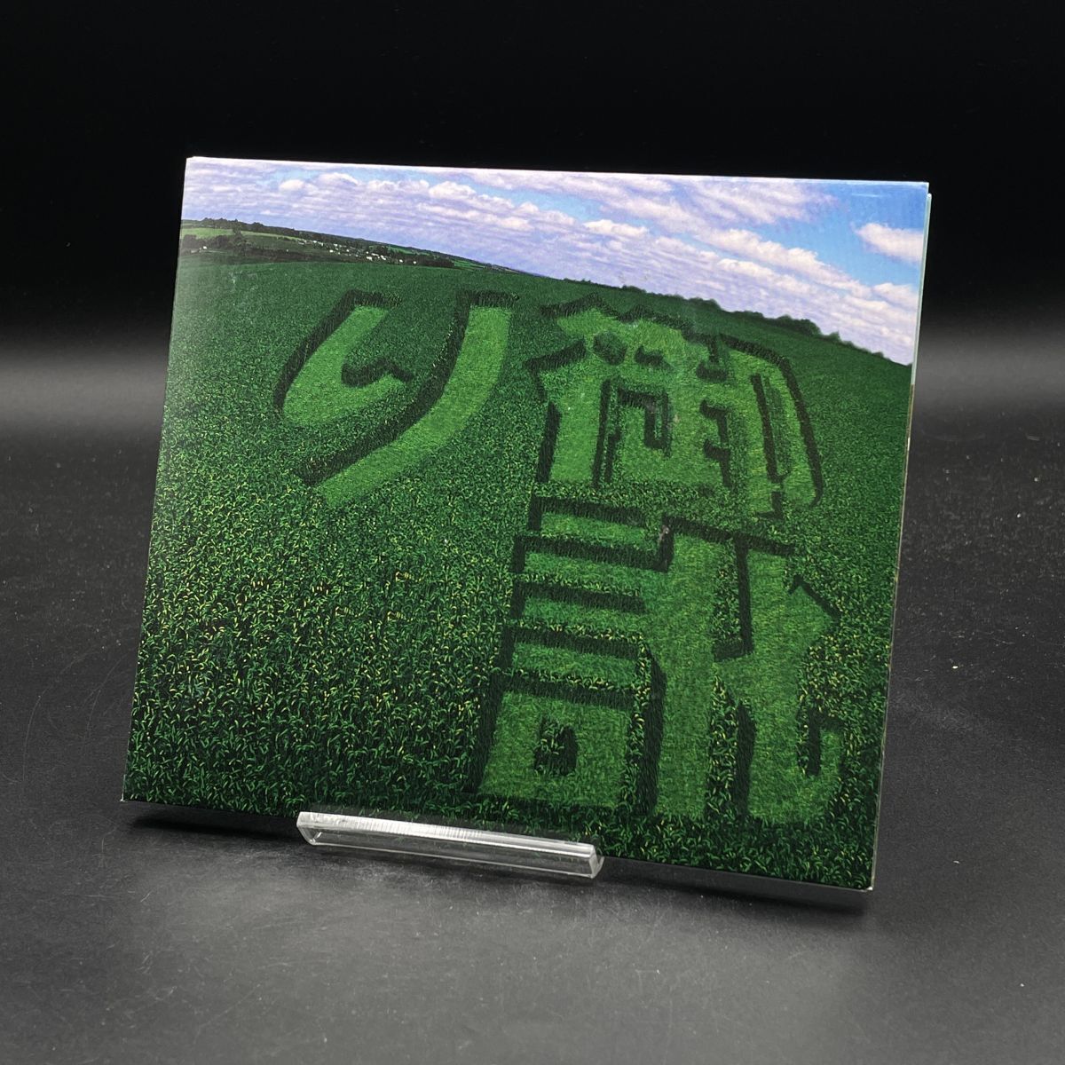 CH29【盤面良好】伊藤秀志 / 御訛り ※ケースに凹みあり拍卖