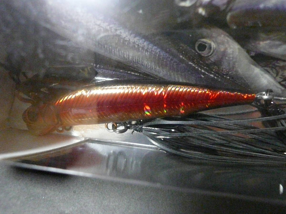 イマカツ アライブチャター70(カスミマジック)新品拍卖