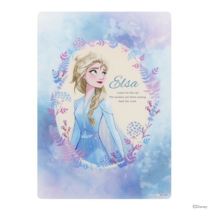 @【即決】◇下敷き◇ディズニー / アナと雪の女王 / アナ雪 / エルサ / キラキラ / ハード下敷き / B5 / S4137051拍卖