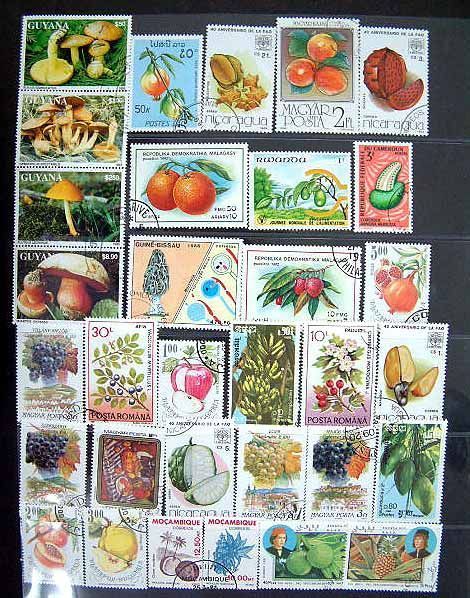◆ くだもの 切手 世界の果物 スタンプ fruit 約100枚◆ パイナップル ドリアン バナナ 再入荷拍卖