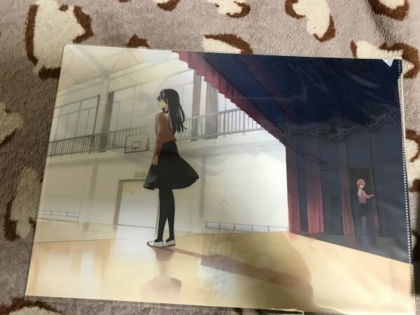 d017クリアファイル やがて君になる 仲谷鳰  6巻 とらのあな特典拍卖