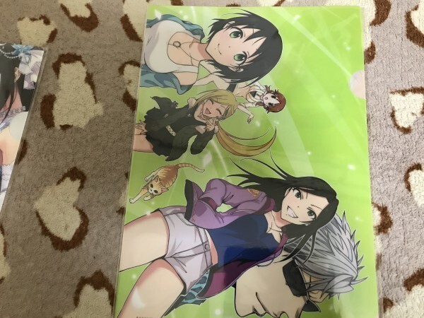 d026クリアファイル アイドルマスター シンデレラガールズ ワイルドウインドガール とらのあな特典 向井拓海 片桐早苗 藤本里奈拍卖