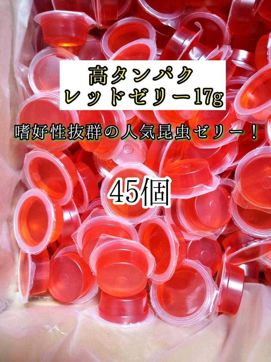 高タンパク レッドゼリー17g 45個 クワガタ カブトムシ オオクワガタ フクロモモンガ ハムスター フクロモモンガ 小動物 クワカブ拍卖