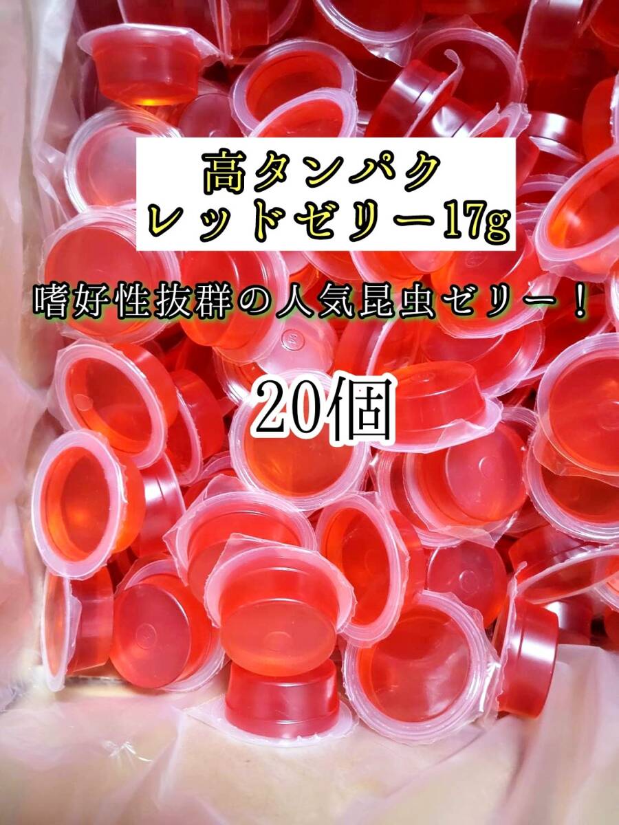 高タンパク レッドゼリー17g 20個 クワガタ カブトムシ オオクワガタ フクロモモンガ ハムスター フクロモモンガ 小動物 クワカブ拍卖