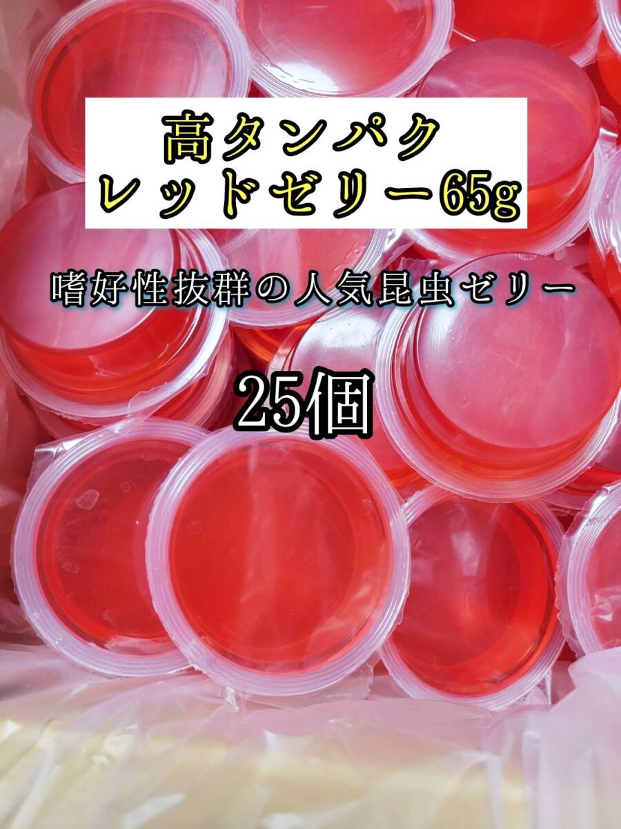高タンパク レッドゼリー65g 25個 クワガタ カブトムシ オオクワガタ フクロモモンガ ハムスター フクロモモンガ 小動物 クワカブ拍卖