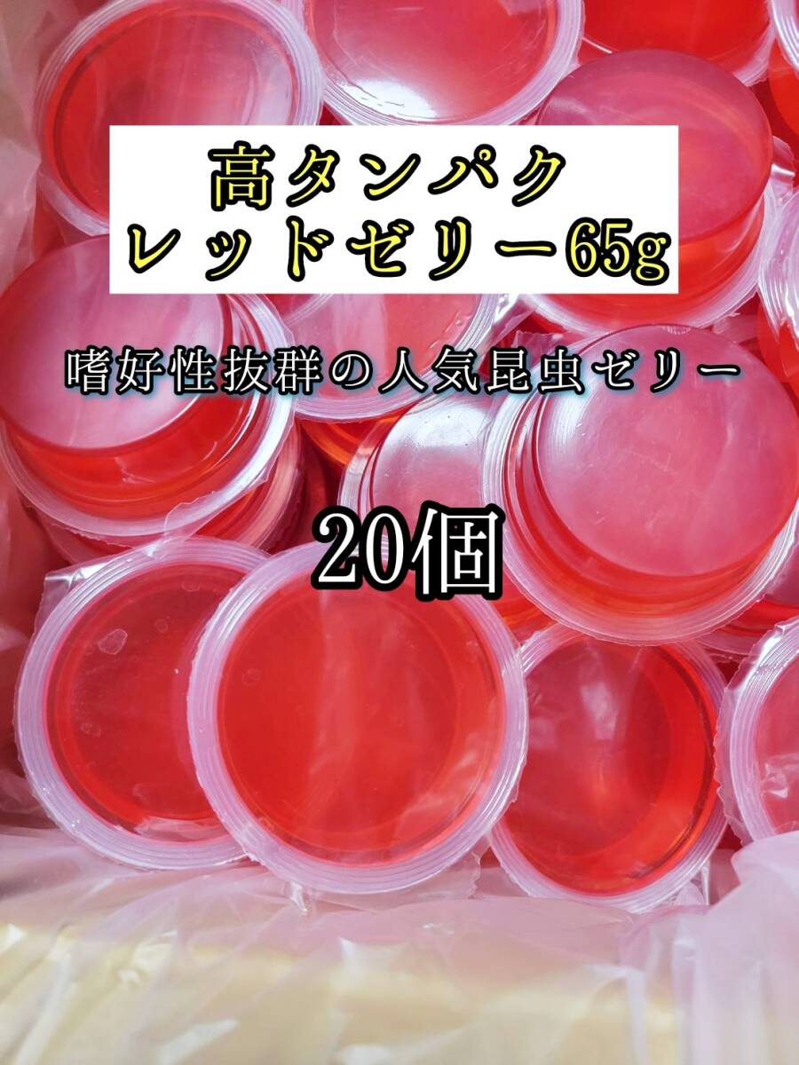 高タンパク レッドゼリー65g 20個 クワガタ カブトムシ オオクワガタ フクロモモンガ ハムスター フクロモモンガ 小動物 クワカブ拍卖