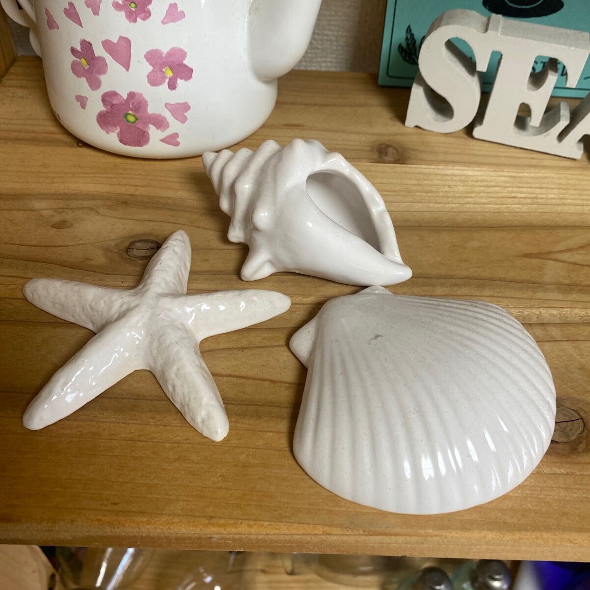 インテリア オブジェ 未開封 貝殻 海 インテリア SEA goods 未使用品 ゆうパケットプラス¥410発送拍卖