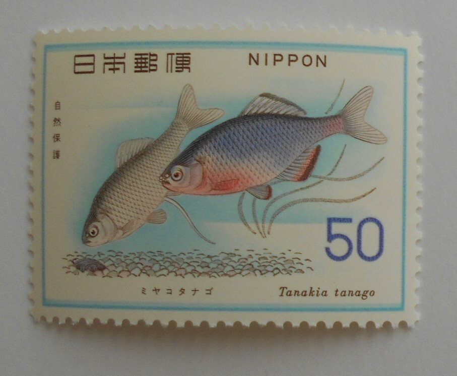 自然保護3集 ミヤコタナゴ 未使用50円切手(523)拍卖