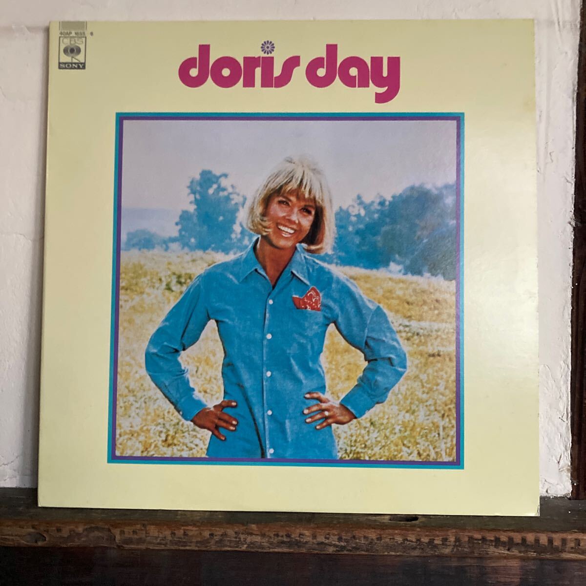 ドリス.デイ / ゴールデン.ダブル 2枚組み拍卖