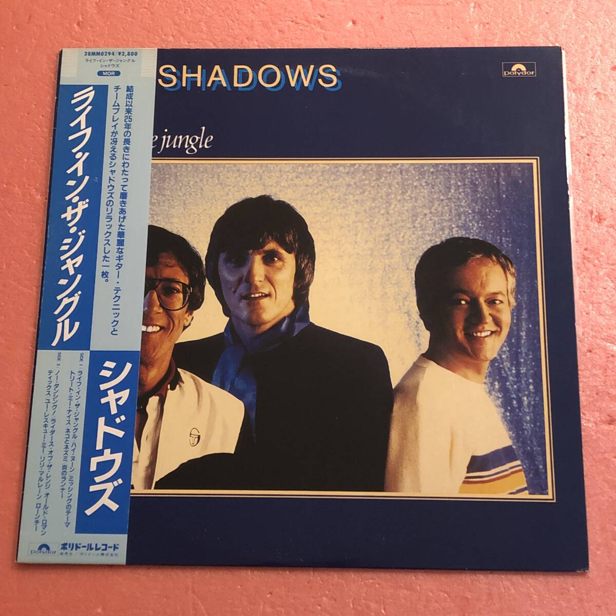 美盤 LP 国内盤 帯付 シャドウズ ライフ イン ザ ジャングル The Shadows Life In The Jungle拍卖