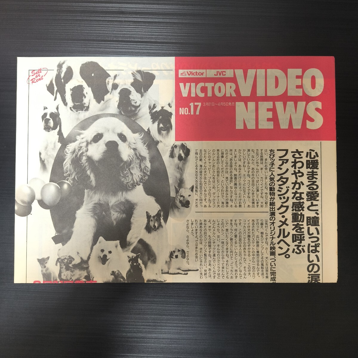 VICTOR VIDEO NEWS ビクタービデオニュース No.17/仔犬物語/しげの秀一 バリバリ伝説/メガゾーン23 PARTⅡ拍卖