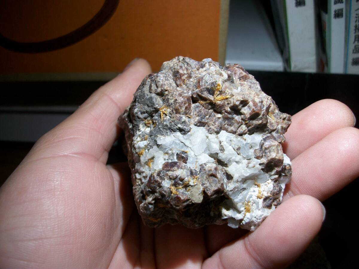 国産鉱物 大分 尾平 ベスブ石 ベスビアナイト 山盛り 良標本 定型外発送拍卖