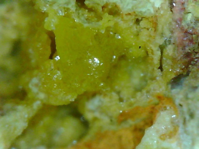 国産鉱物 大分県 木浦 ミメット鉱 ミメッタイト 良標本 定型外発送拍卖