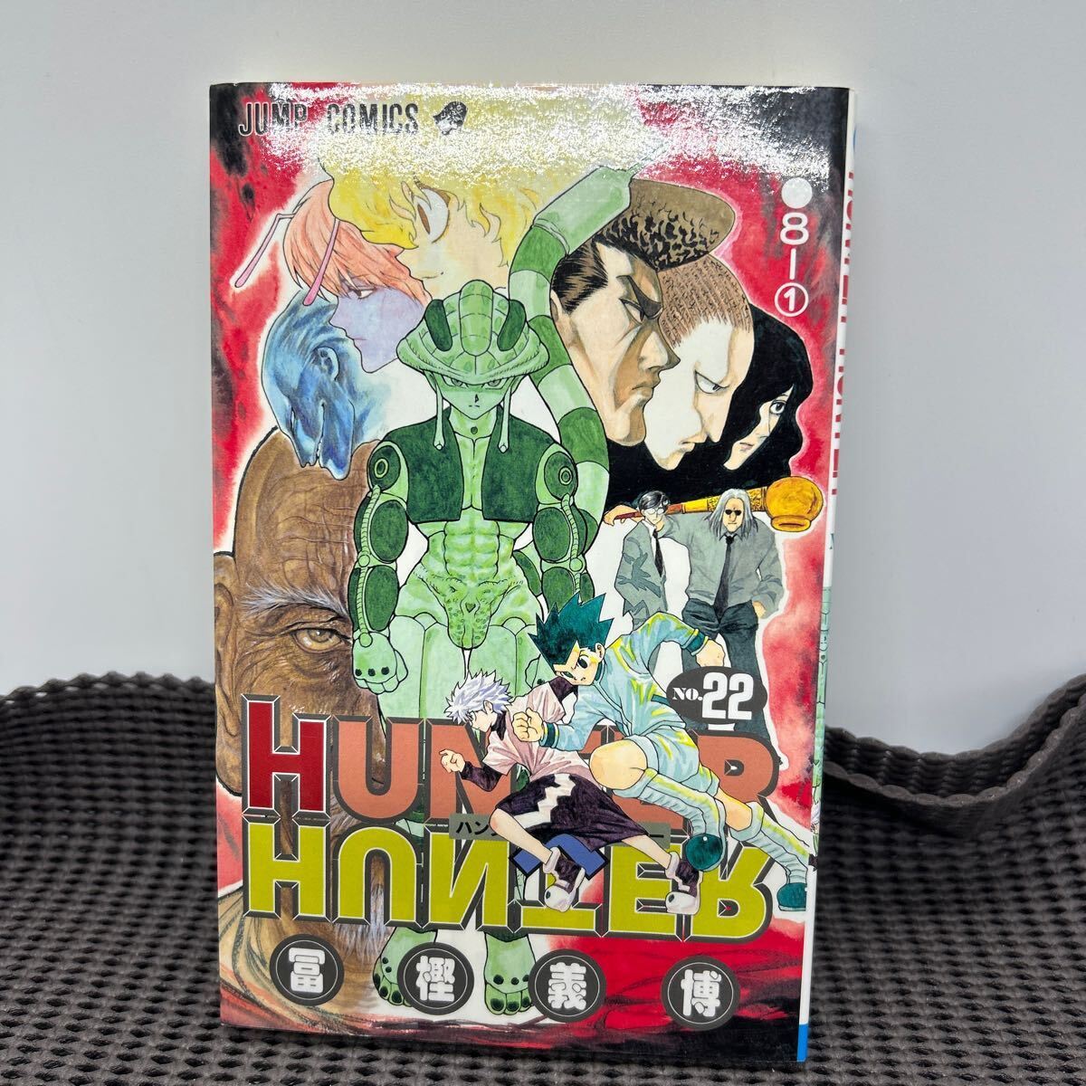 HUNTER×HUNTER 22 (ジャンプコミックス)/冨樫 義博/C250211-7*7拍卖