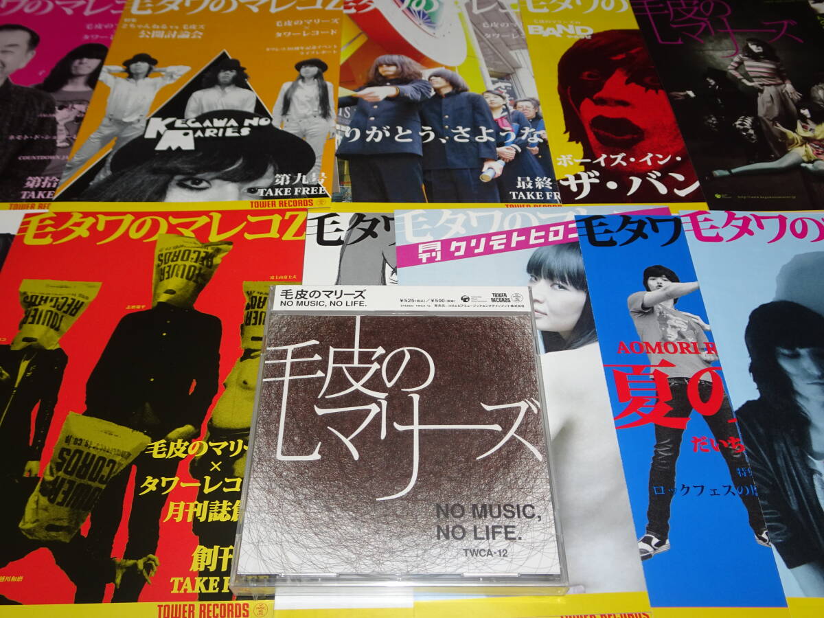 未開封CD『 毛皮のマリーズ / NO MUSIC, NO LIFE. 』+ 『 毛タワのマレコZ 9種 』+チラシ2種 ドレスコーズ拍卖
