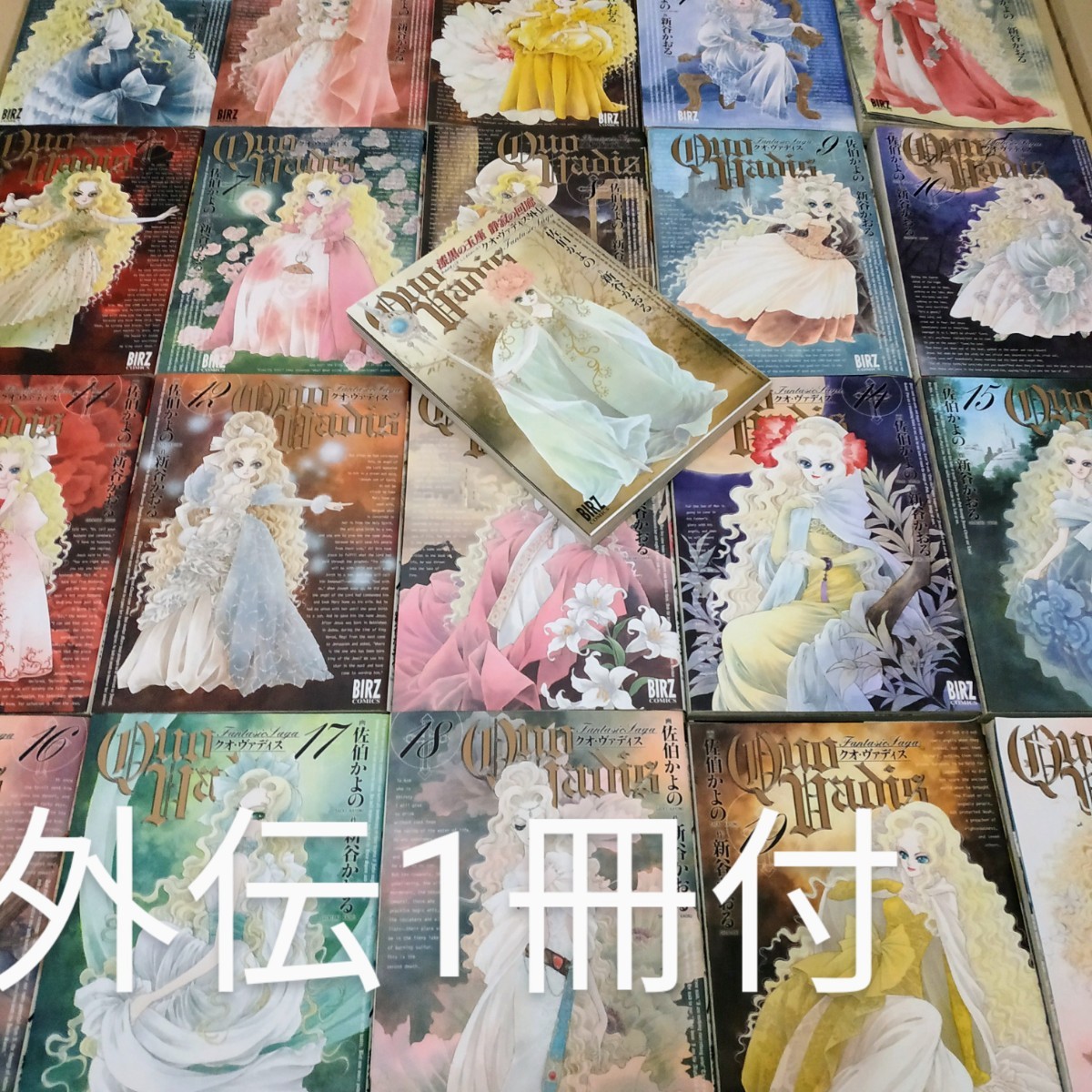 クオ・ヴァディス 全巻20冊+外伝1冊 佐伯かよの 新谷かおる クオヴァディス 送料全国均一800円で再出品可qw quo vadis拍卖