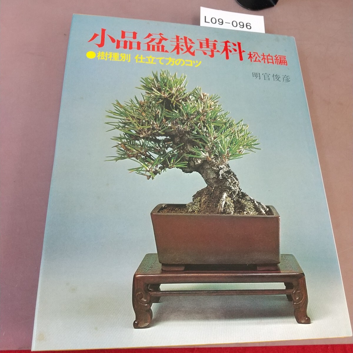 L09-099 小品盆栽専科 松柏編 明宮俊彦 主婦の友社 拍卖