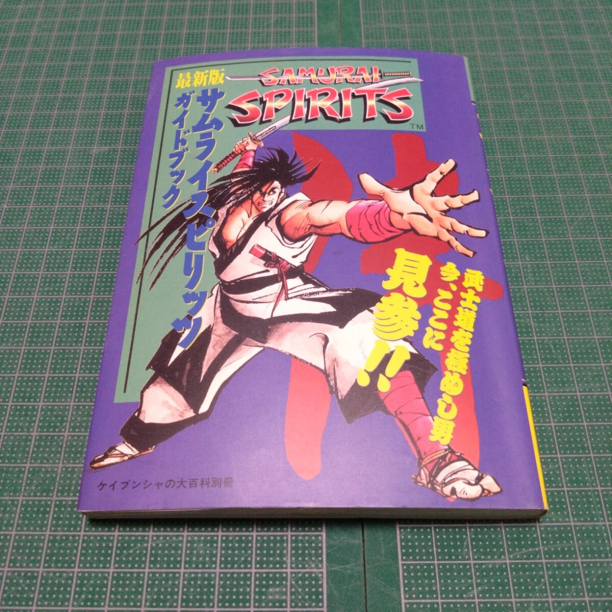 最新版サムライスピリッツガイドブック拍卖