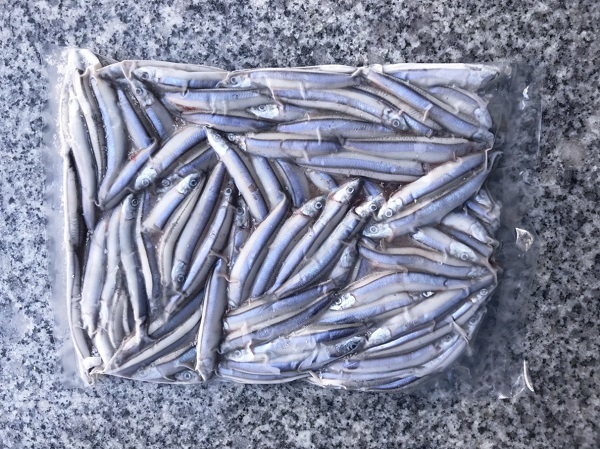 【15㎏激安価格!まとめ割1㎏単価@¥1630】真空パック冷凍きびなご キビナゴ15kg価格!トータルで送料も安いです。きびなご キビナゴ 拍卖