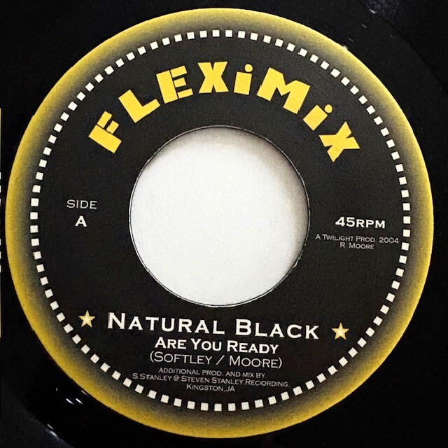 試聴 / NATURAL BLACK / ARE YOU READY /Reggae/New Roots/Digital Dub/'04/big hit !!/7inch/1074拍卖