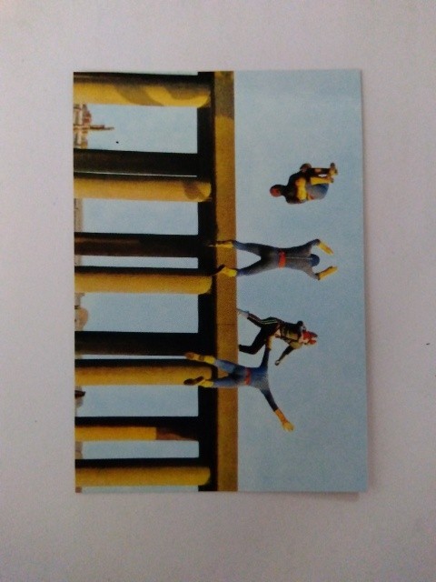 2003年 カルビー 仮面ライダーチップスカード 318拍卖