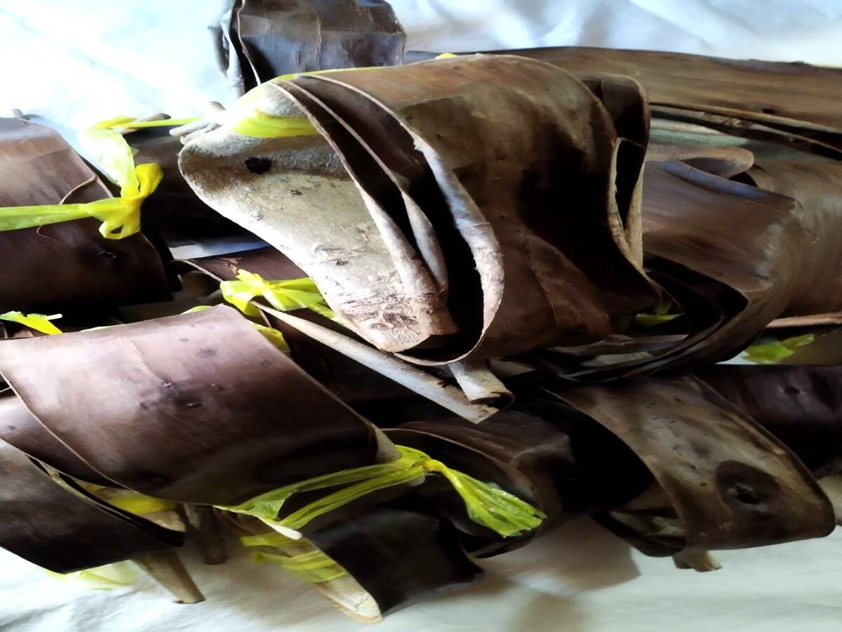 クルミの木の皮 19本ございます。2022年伐採後、乾燥させておりました。籠編みなどハンドメイド作品の素材にいかがでしょうか。拍卖