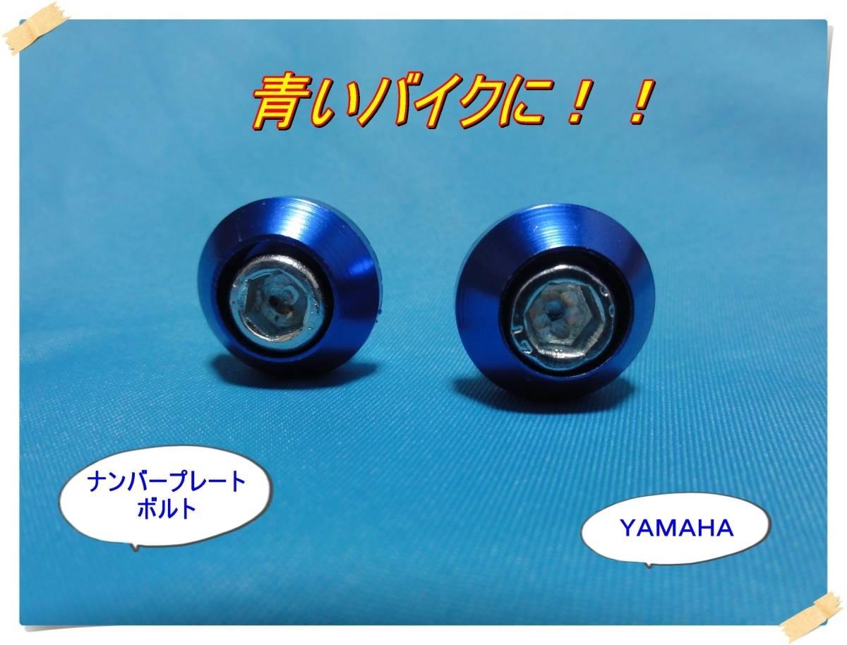 匿名配送送料無料 YAMAHAなど青いバイクに ナンバープレートボルトセット どなたでも簡単に交換出来ますドレスアップ カスタム WR セロー 拍卖