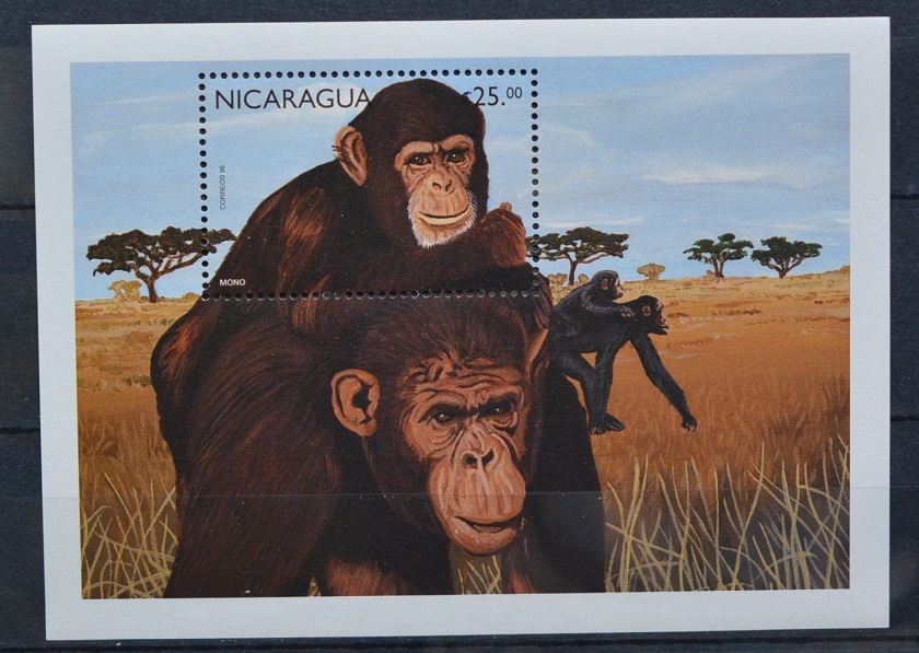 「TB133」ニカラグア切手 チンパンジー拍卖